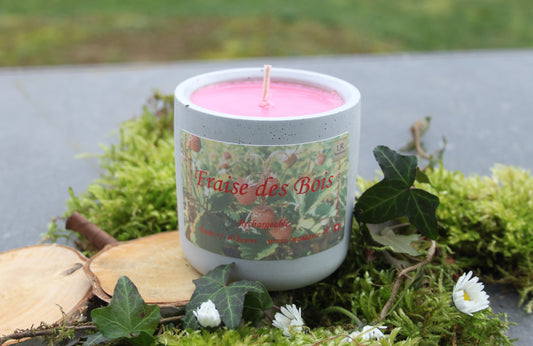 Fraises des Bois