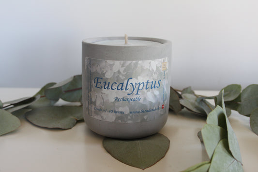 Bougie parfumée béton Eucalyptus