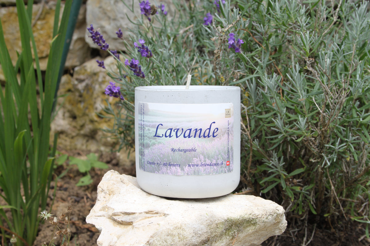 Lavande