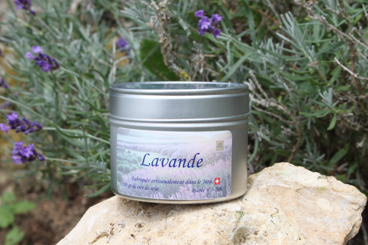 Lavande