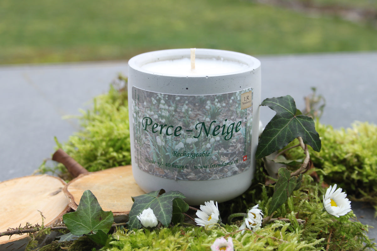 Perce-neige