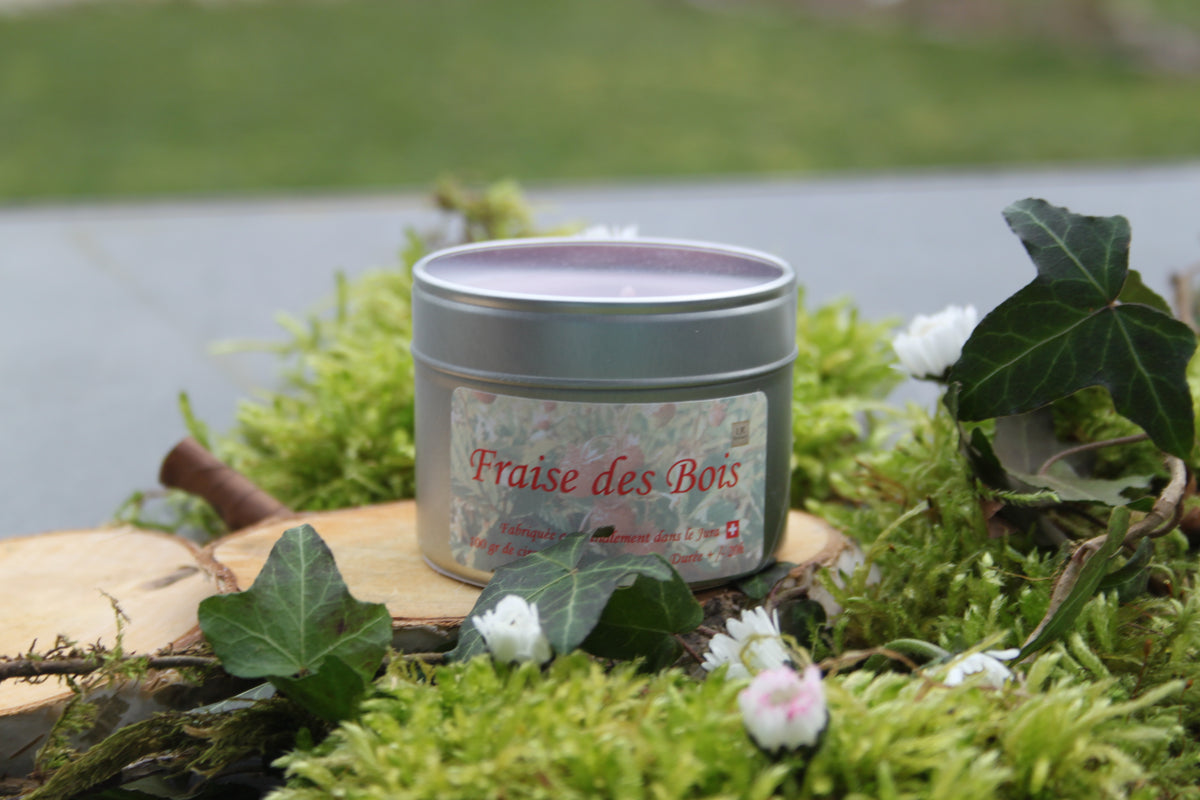 Fraises des Bois